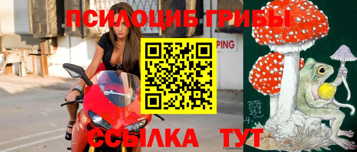 Псилоцибиновые грибы мухоморы  Вход с VPN  купить   Россия 